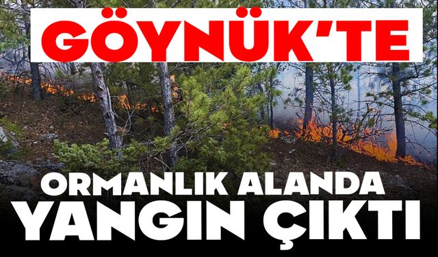 GÖYNÜK'TE ORMANLIK ALANDA YANGIN ÇIKTI