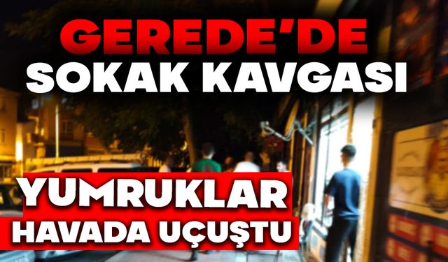 Geredeʼde Sokak Kavgası: Ortalık Karıştı, Yumruklar Havada Uçuştu