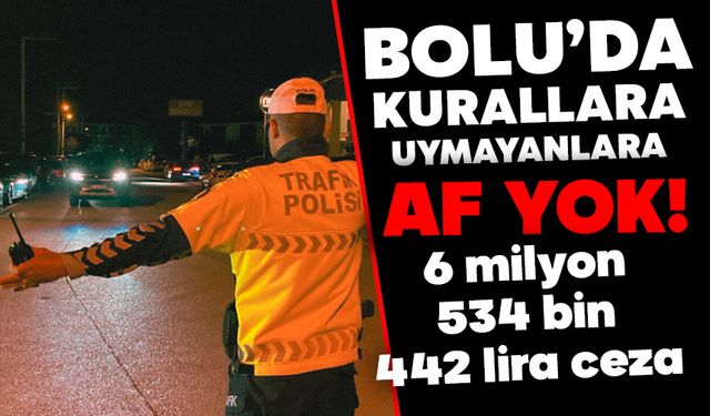 Bolu'da kurala uymayana af yok: 6 milyon 534 bin 442 lira ceza