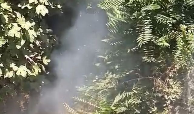 Zonguldak'ta ormanlık alanda çıkan yangın söndürüldü