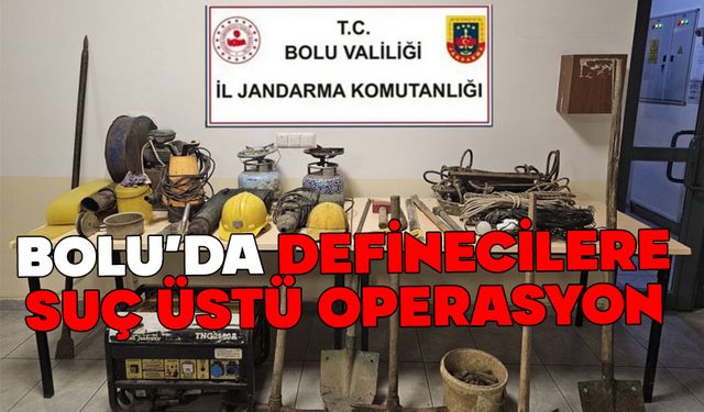 Bolu’da kaçak define kazısına jandarma baskını