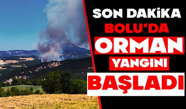 Bolu’da orman yangını başladı