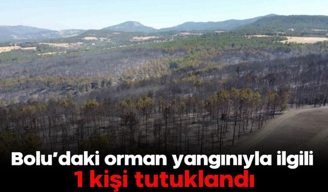 Bolu’daki orman yangınıyla ilgili 1 kişi tutuklandı