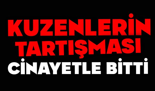 Kuzenlerin tartışması cinayetle bitti