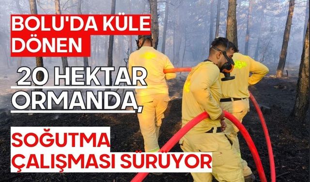 Bolu'da küle dönen 20 hektar ormanda, soğutma çalışması sürüyor
