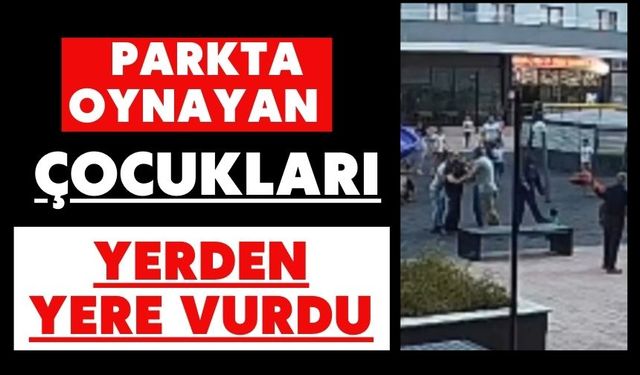 Parkta oynayan çocukları yerden yere vurdu