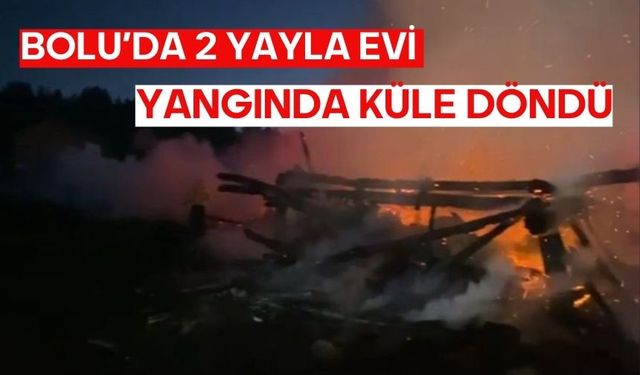 Bolu’da 2 yayla evi yangında küle döndü