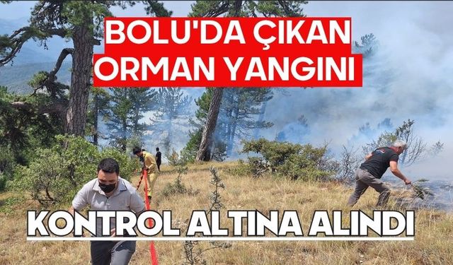 Bolu'da çıkan orman yangını kontrol altına alındı