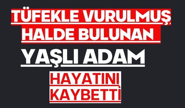 Tüfekle vurulmuş halde bulunan yaşlı adam hayatını kaybetti