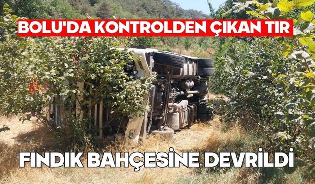 Bolu'da kontrolden çıkan tır fındık bahçesine devrildi