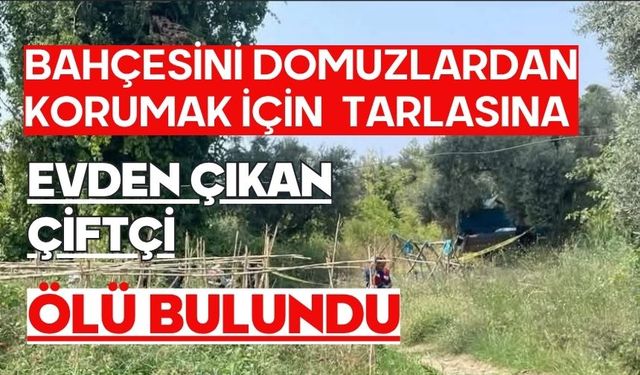Bahçesini domuzlardan korumak için evden çıkan çiftçi tarlasına ölü bulundu