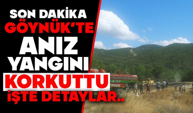 Göynük’te Anız Yangını Korkuttu