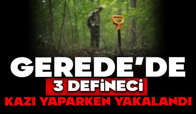 GEREDEʼDE 3 DEFİNECİ KAZI YAPARKEN YAKALANDI