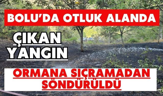 Bolu’da otluk alanda çıkan yangın ormana sıçramadan söndürüldü