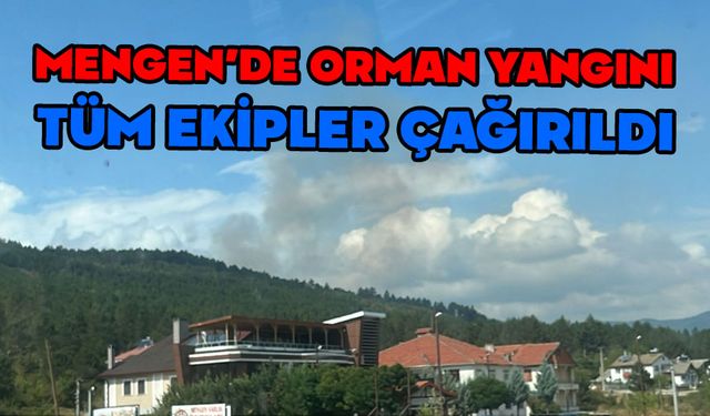 Mengen’de orman yangını, tüm ekipler sevk edildi