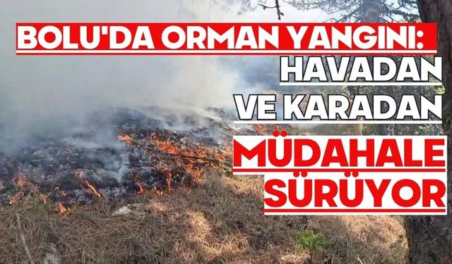 Bolu'da orman yangını: Havadan ve karadan müdahale sürüyor