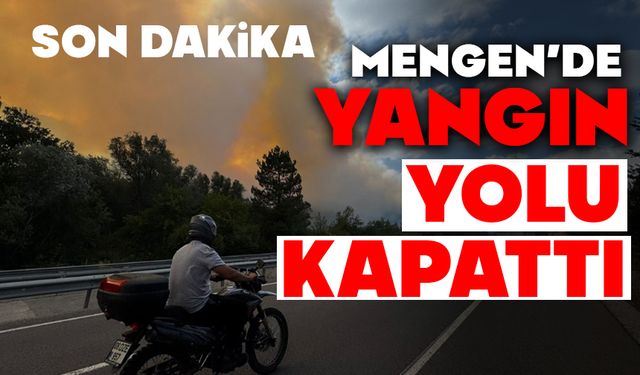 Mengen'de yangın yolu kapattı