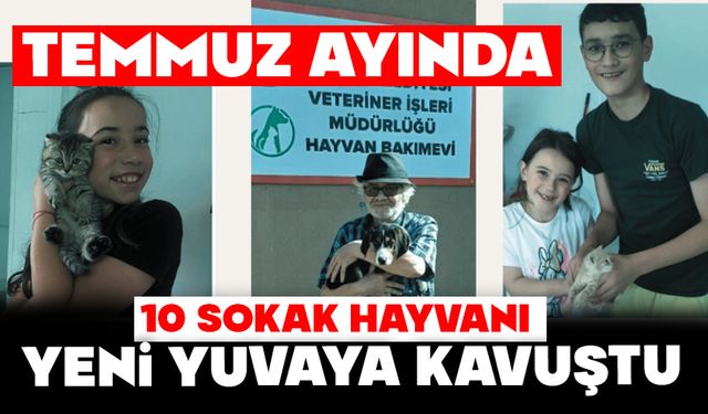 Temmuz Ayında 10 Sokak Hayvanı Yeni Yuvaya Kavuştu