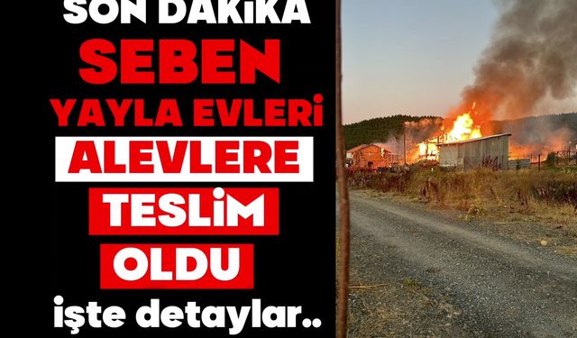 Seben’de Yayla Evi Alevlere Teslim Oldu: Ekipler Seferber Oldu