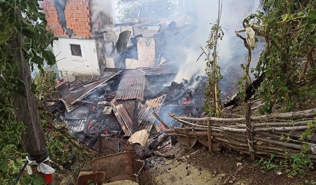 Artvin'de yangın paniği: 4 ev küle döndü