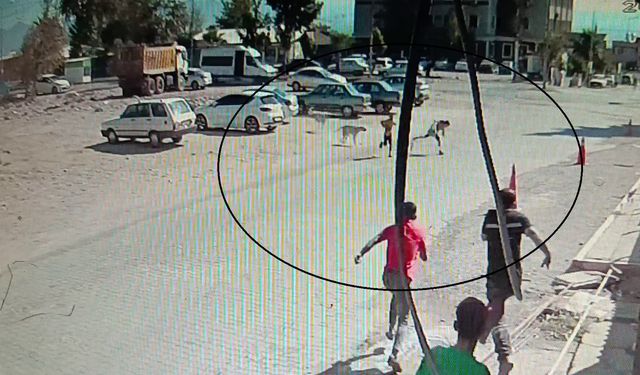 Köpeklerden kaçarken yere yığılan çocukların yardımına vatandaşlar yetişti