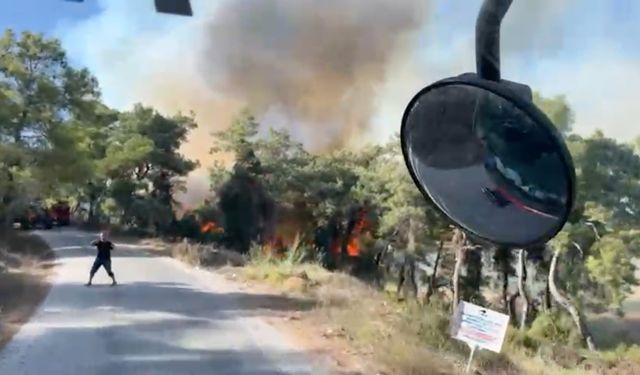 Manavgat'ta arazide başlayan yangın ormanlık alana sıçradı