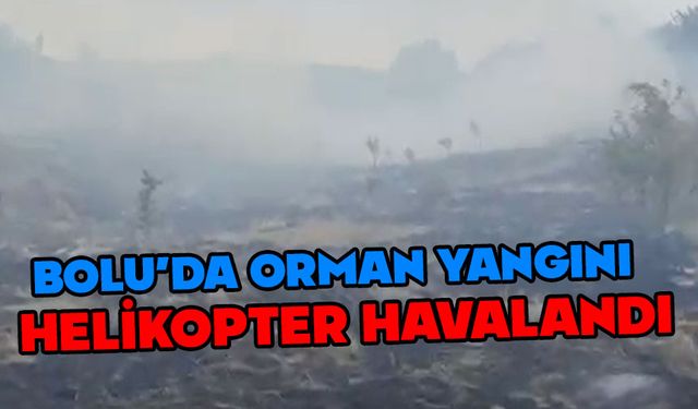 Bolu'da orman yangını