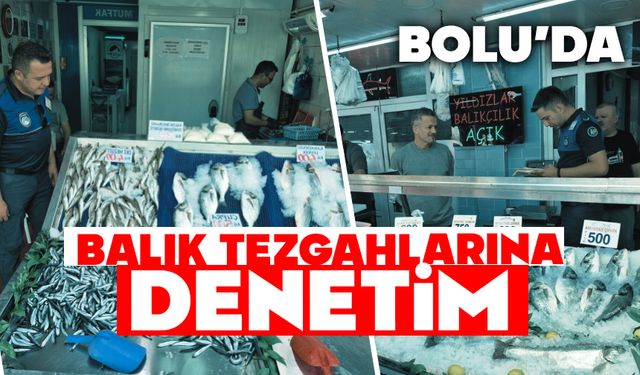 Bolu'da Balık Tezgâhlarına Denetim