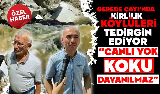 Gerede Çayı’nda Kirlilik Köylüleri Tedirgin Ediyor: “Canlı Yok, Koku Dayanılmaz”