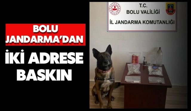 Bolu Jandarma’dan iki adrese baskın