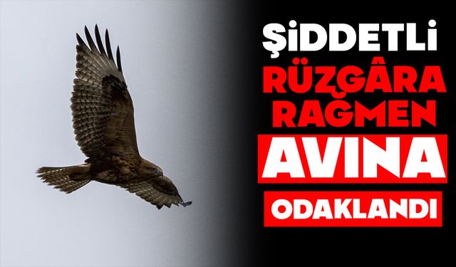 ŞİDDETLİ RÜZGÂRA RAĞMEN AVINA ODAKLANDI