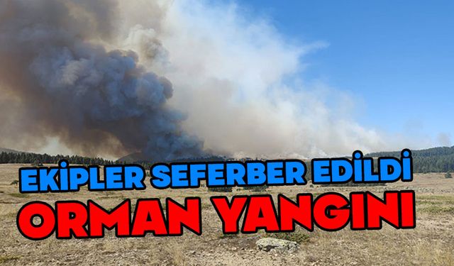 Gerede’de iki gün içinde üçüncü yangın paniği