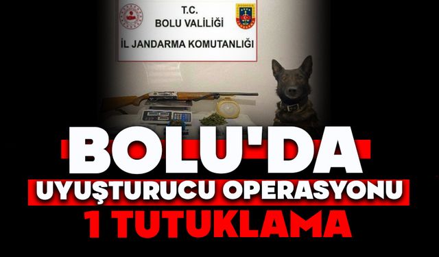 Bolu'da uyuşturucu operasyonu: 1 tutuklama