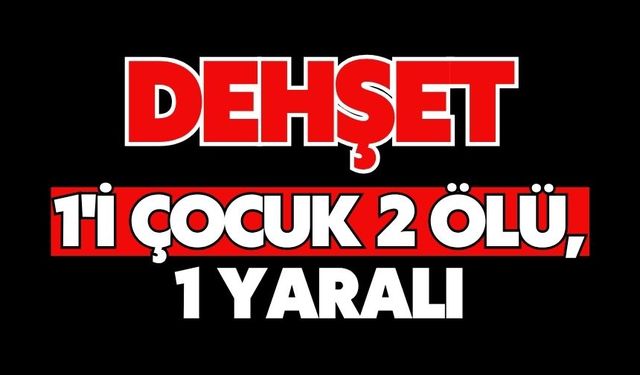 Dehşet: 1'i çocuk 2 ölü, 1 yaralı