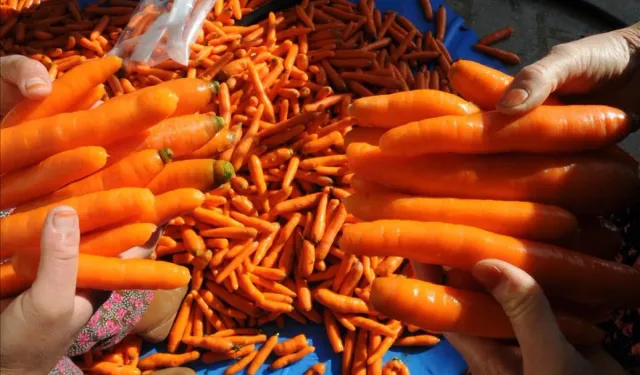 Mucizevi etkileri bulunuyor: Her gün 1 adet havuç tüketin