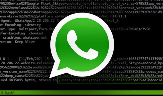 SIM kart değişikliğinden kimlik avına: Bilgisayar korsanları WhatsApp hesabınızı nasıl çalabilir