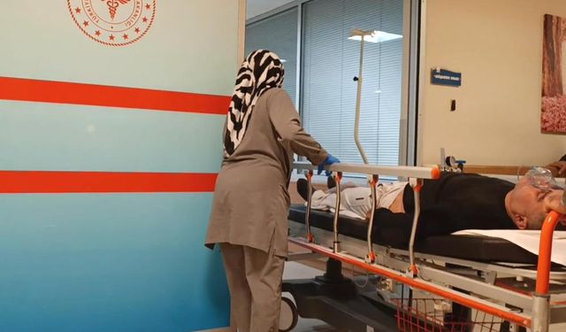 Mantar yedi hastanelik oldu