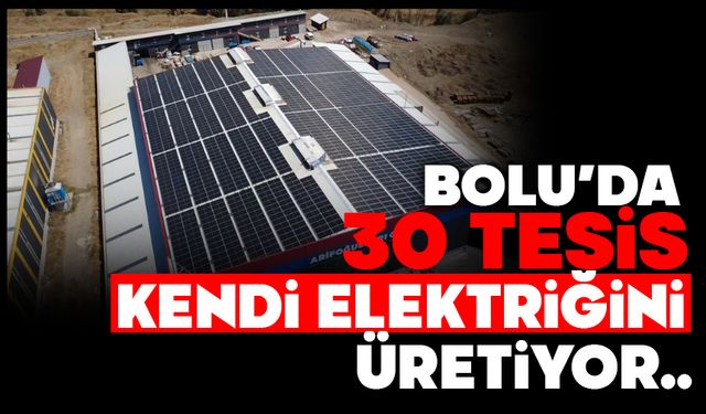 BOLU’DA 30 TESİS KENDİ ELEKTRİĞİNİ ÜRETİYOR