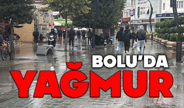 Bolu'da yağmur etkili oldu
