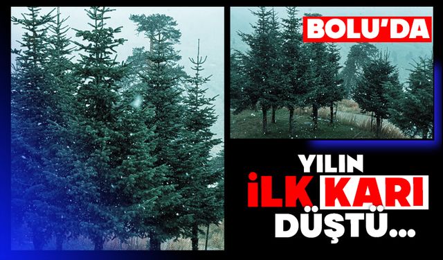 Bolu’da yılın ilk karı yüksek kesimlere düştü