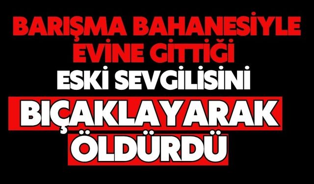 Barışma bahanesiyle evine gittiği eski sevgilisini bıçaklayarak öldürdü