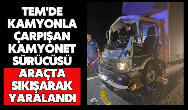 TEM'de kamyonla çarpışan kamyonet sürücüsü araçta sıkışarak yaralandı