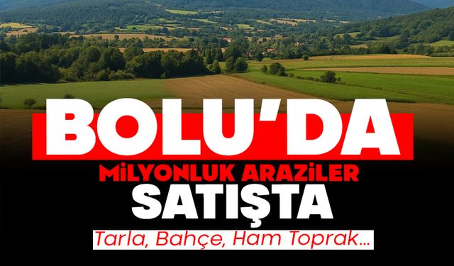 Bolu’da Milyonluk Araziler Satışta!  Tarla, Bahçe, Ham Toprak…