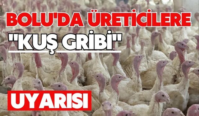 Bolu'da üreticilere "kuş gribi" uyarısı