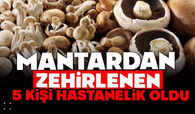 Mantardan zehirlenen 5 kişi hastanelik oldu
