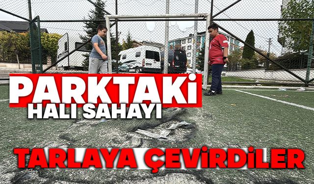 Parktaki halı sahayı, tarlaya çevirdiler