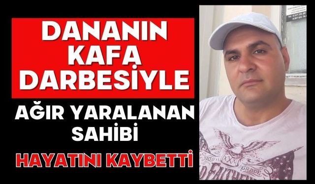 Dananın kafa darbesiyle ağır yaralanan sahibi hayatını kaybetti