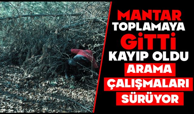 Mantar Toplamaya Gitti, Kayıp Oldu, Arama Çalışmaları Sürüyor