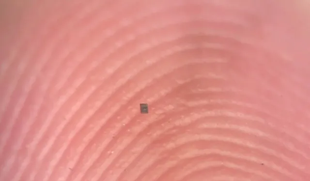 Dünyanın en küçük robotları üretildi: Bir gün hayatınızı kurtarabilir