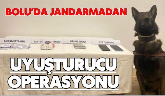 Bolu’da jandarmadan uyuşturucu operasyonu